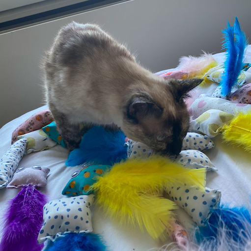 Aluna-kattenspeeltjes