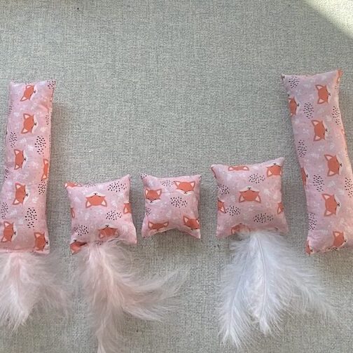 kattenspeeltje-vosjes